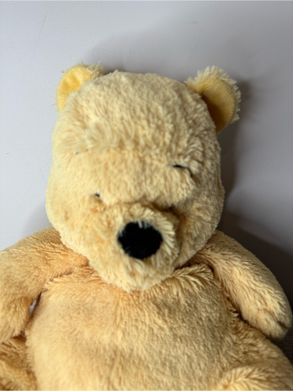 DISNEY BABY Winnie The Pooh Bear Plush Stuffy Stuffed Animal Toy 2013 - Picture 2 of 10